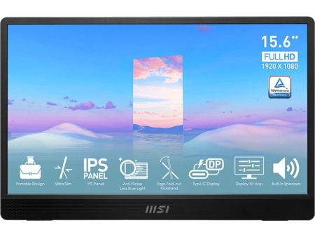 MSI PRO MP161 Portable Monitor in Metal Gray - ProMP161 For Sale