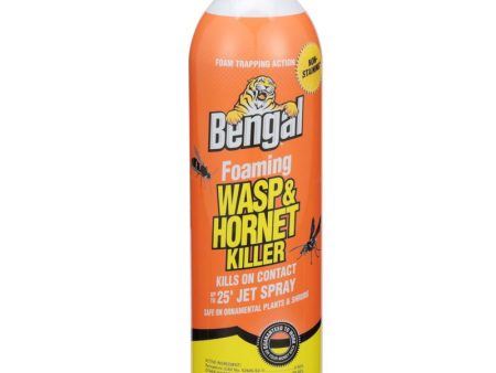 Bengal Foaming Insect Killer Foam 16 oz For Cheap