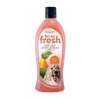 Sergeant s Fur So Fresh Fresh and Fruity Dog Deodorizing Shampoo 18 oz 1 pk Cheap