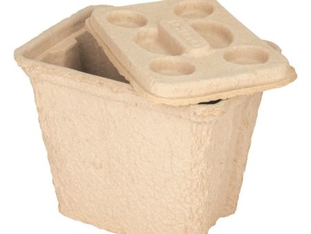 Igloo Recool Tan 16 qt Cooler Online