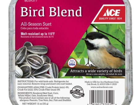 Ace Bird Blend Assorted Species Beef Suet 11 oz For Sale