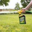 Spectracide Weed Stop Weed Killer Concentrate 32 oz Online