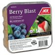 Ace Berry Blast Assorted Species Beef Suet 11 oz For Discount