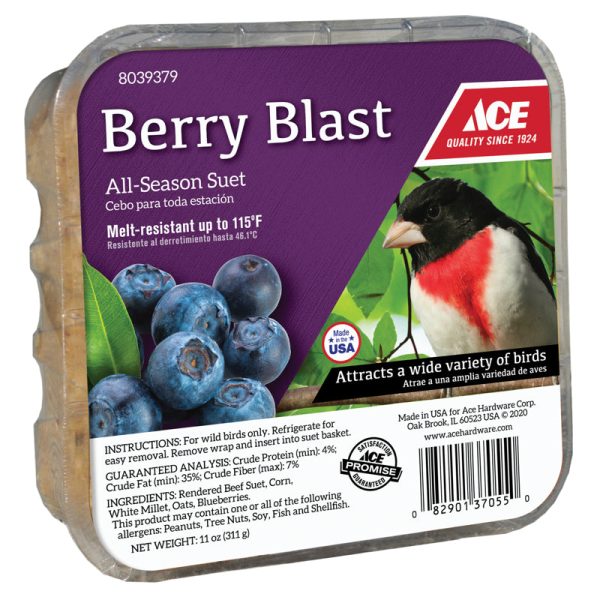 Ace Berry Blast Assorted Species Beef Suet 11 oz For Discount