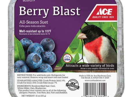 Ace Berry Blast Assorted Species Beef Suet 11 oz For Discount