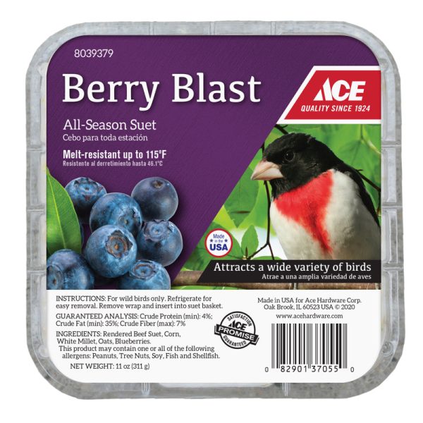 Ace Berry Blast Assorted Species Beef Suet 11 oz For Discount